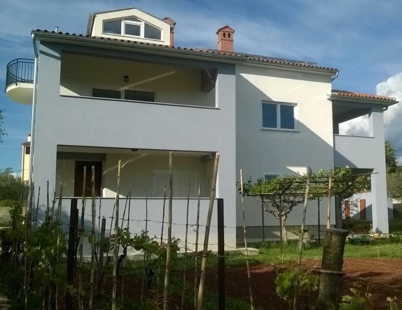 Ulivo * Fazana